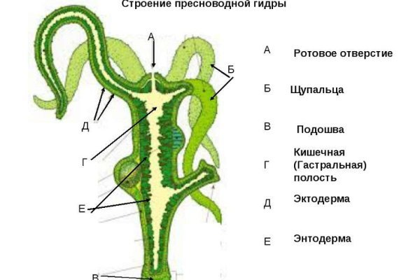 Ссылка на BlackSprut тор