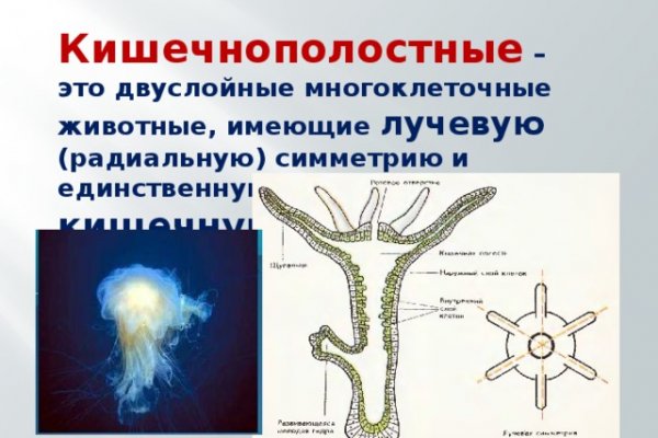 Дарк площадка кракен