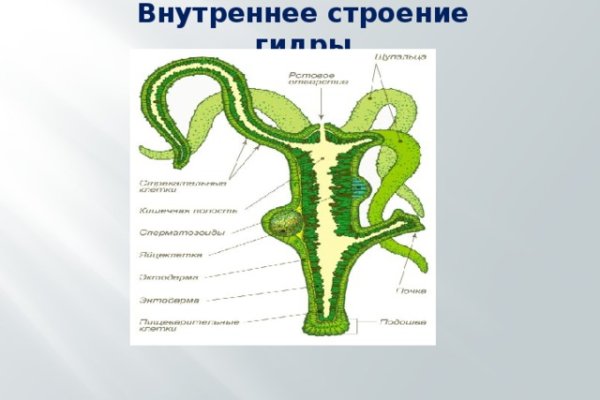 Бошки трава купить