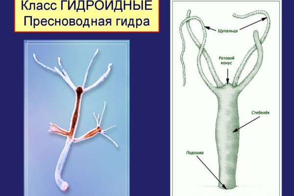 Сайт кракен в обход блокировки