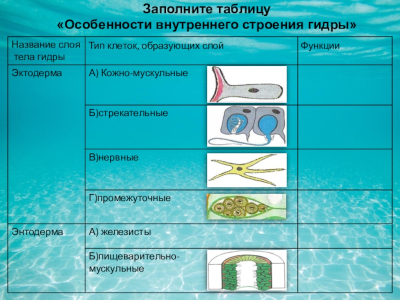 Как зайти на мега маркет